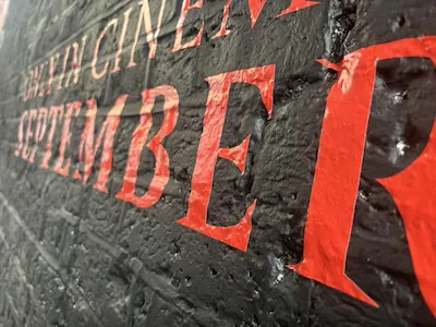 wall vinyl